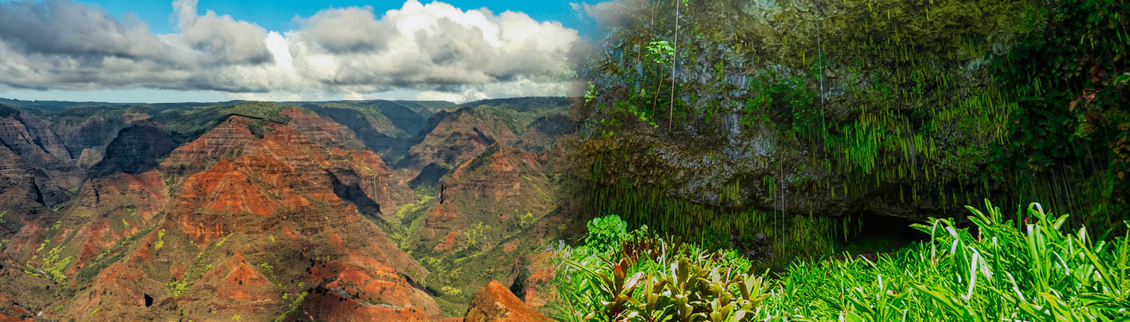 poly ad Wailua River-Waimea-canyon fern grotto tour